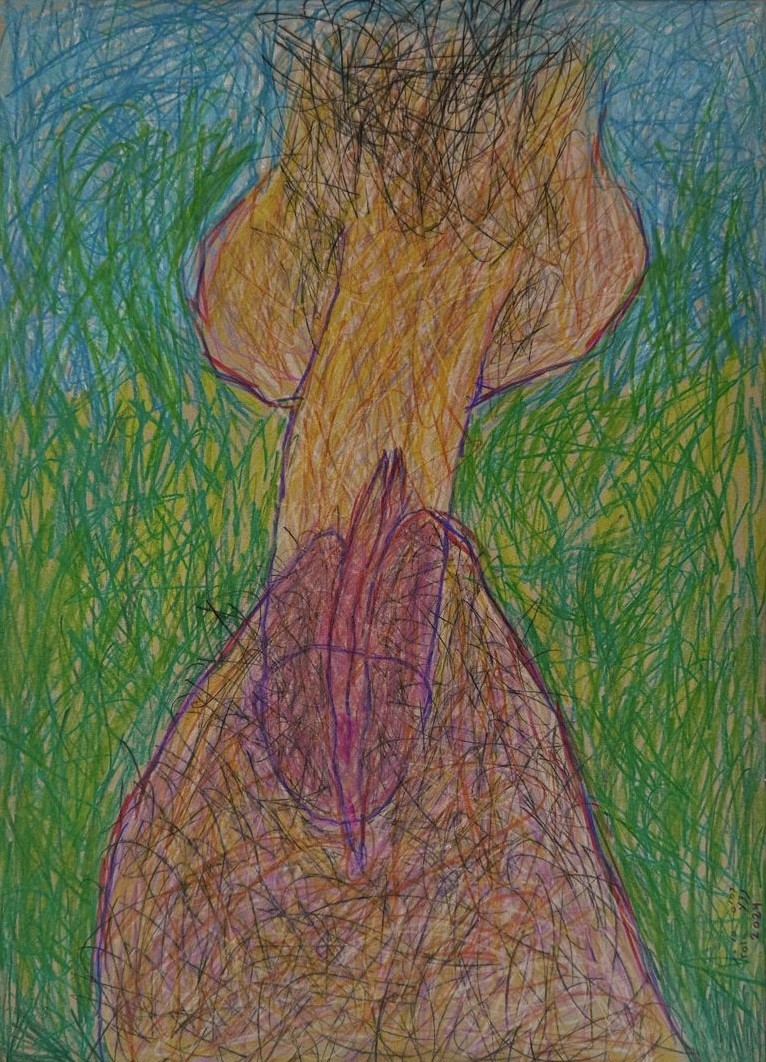 close view of male and female genitals meeting